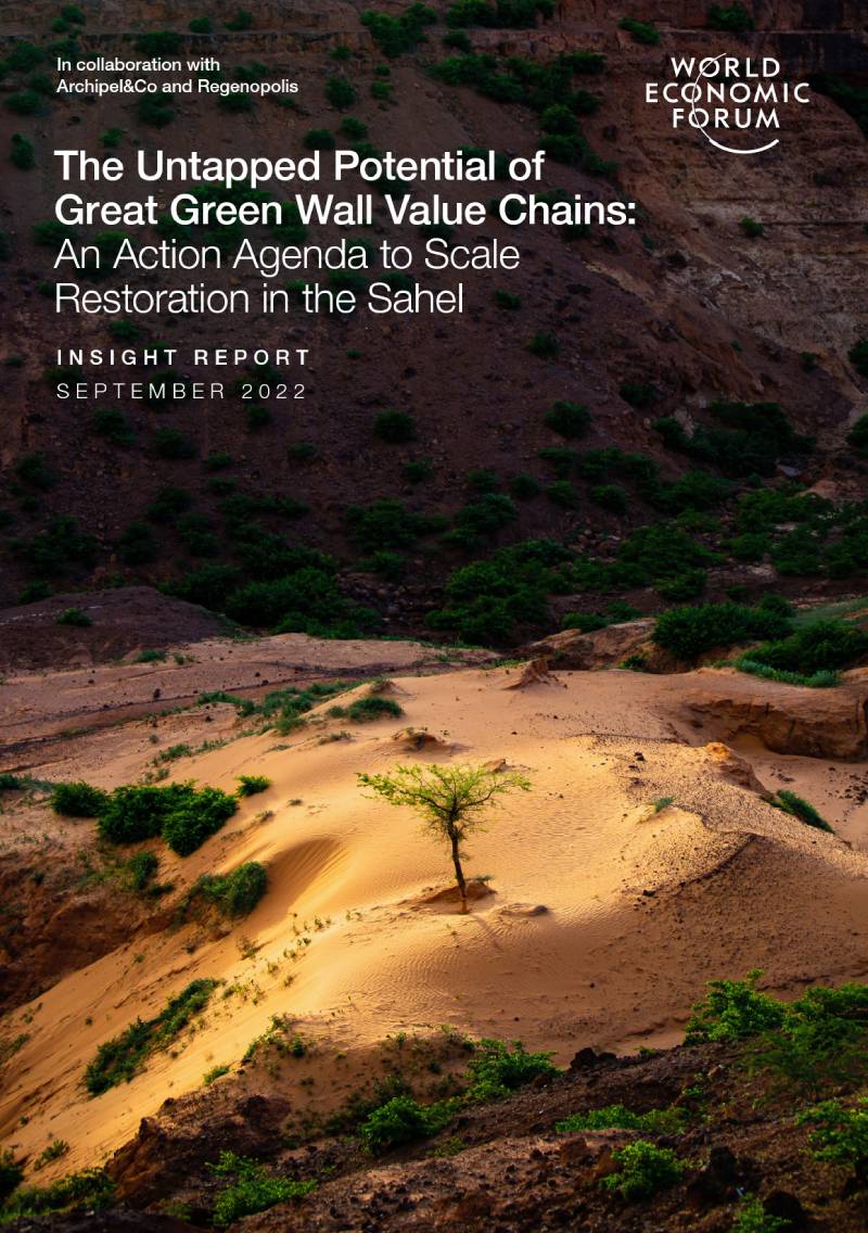 regenopolis the untapped potential of great green wall value chains an action agenda to scale restoration in the sahel