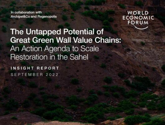 regenopolis the untapped potential of great green wall value chains an action agenda to scale restoration in the sahel (1)