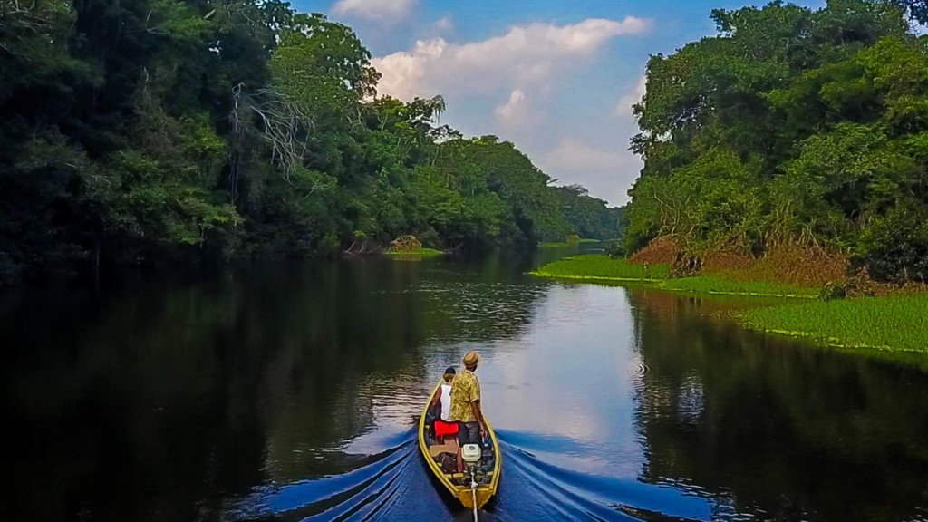 amazonia peru regenopolis