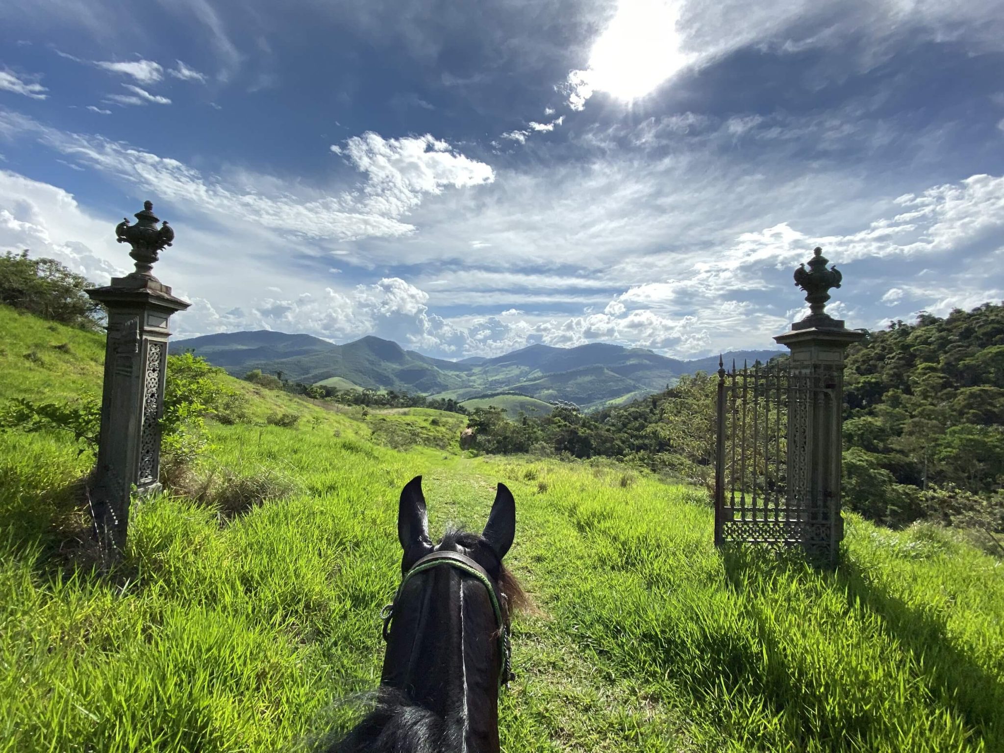 4 passeio a cavalo
