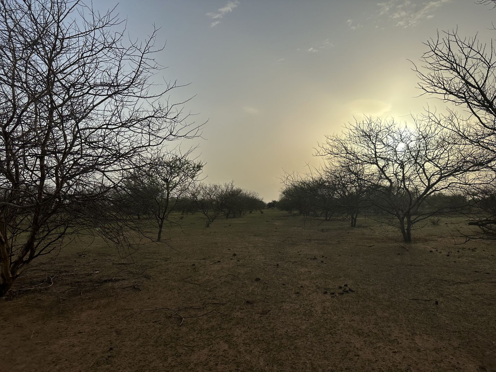 gmv senegal