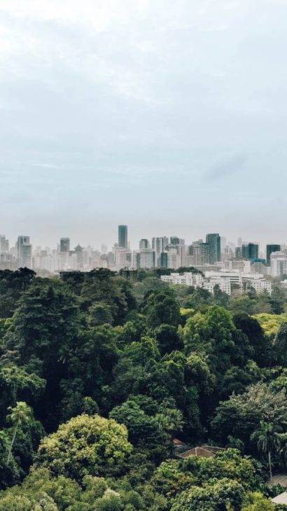 regenerative cities
