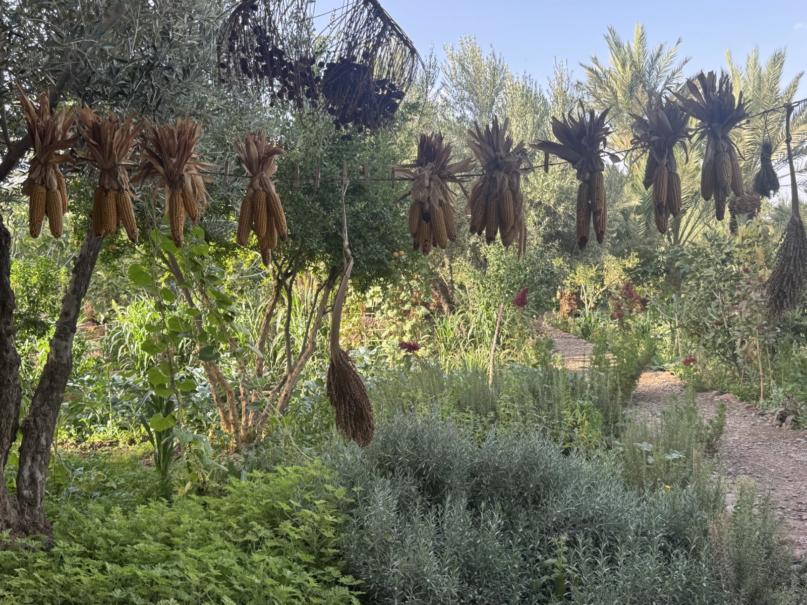 regenerative hospitality retreat 2