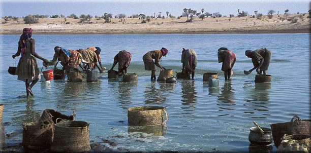spirulina ladies harvesting spirulina from lake boudou andja. (photos by marzio marzot from the fao report the future is an ancient lake, 2004) (1)