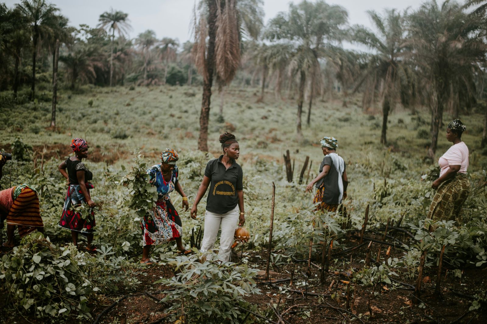 how we help regenerate ecosystems