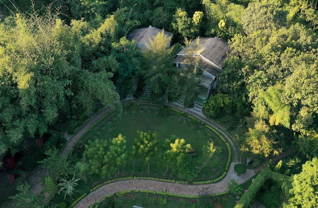 Aerial view of two cabins with grey roofs nestled in dense forest, above a landscaped garden with a curved path and young trees.