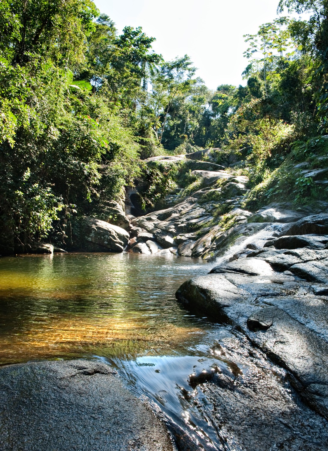 Clear natural pool fed by a small waterfall over smooth boulders, surrounded by lush rainforest under a bright sky.