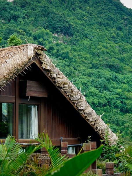 A wooden bungalow with a steep thatched roof, set against a forested green hillside.